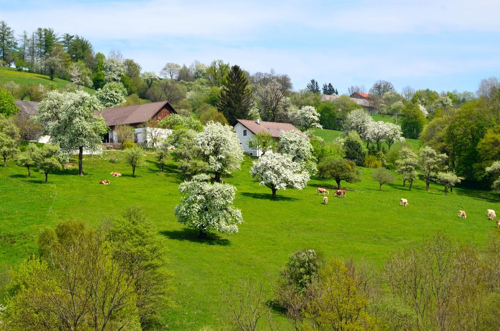 Ferienwohnung Vonwald Michelbach Exteriör bild