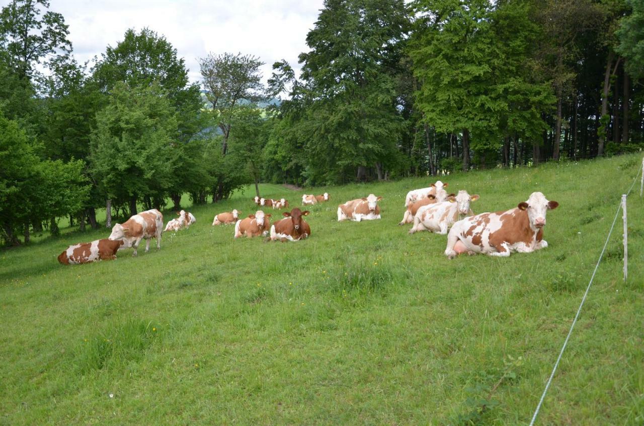 Ferienwohnung Vonwald Michelbach Exteriör bild