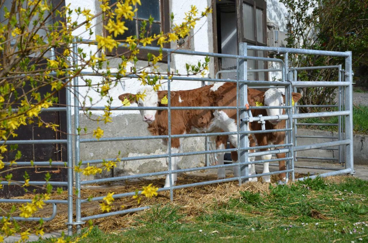 Ferienwohnung Vonwald Michelbach Exteriör bild